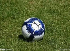 英超赞歌,图赫尔唤醒,足球真谛,bwin亚洲,必赢亚洲,bwin体育,体育博彩,体育投注,实时赛事投注