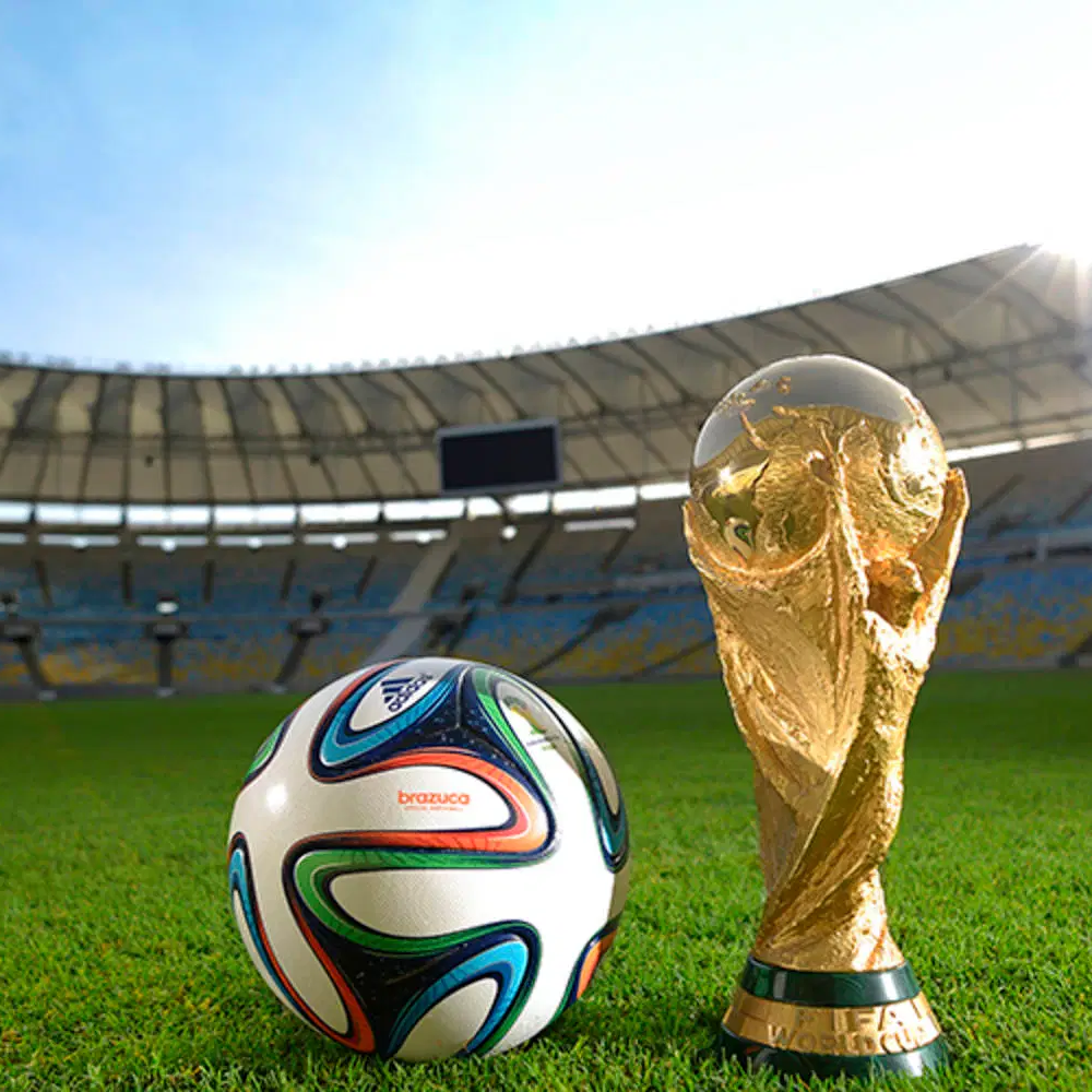 英媒曝,莱斯特城主,帅争夺战马,bwin亚洲,必赢亚洲,bwin体育,体育博彩,体育投注,实时赛事投注